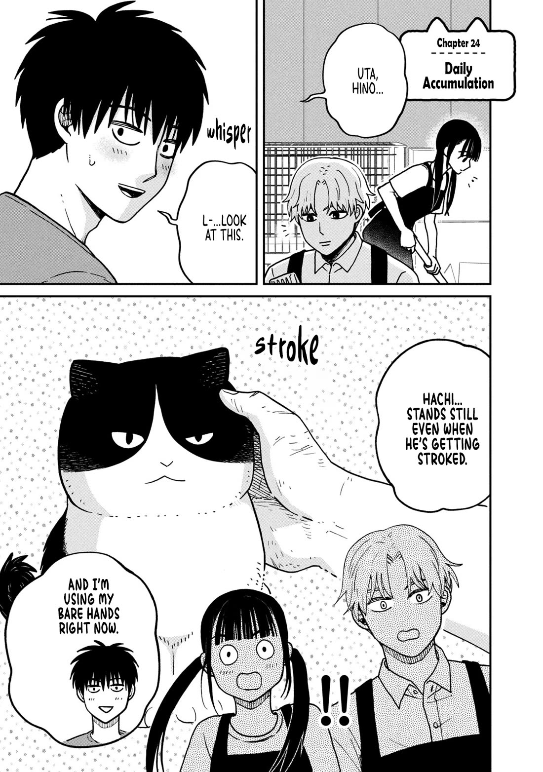 Cat Partners: Maruru and Hachi Chapter 24 page 1 - Chapter 24: Daily Accumulation