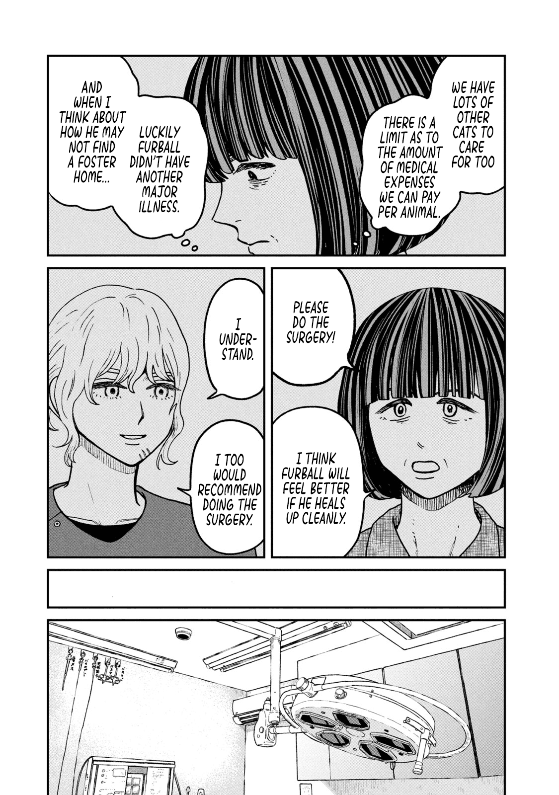 Cat Partners: Maruru and Hachi Chapter 24 page 11 - Chapter 24: Daily Accumulation