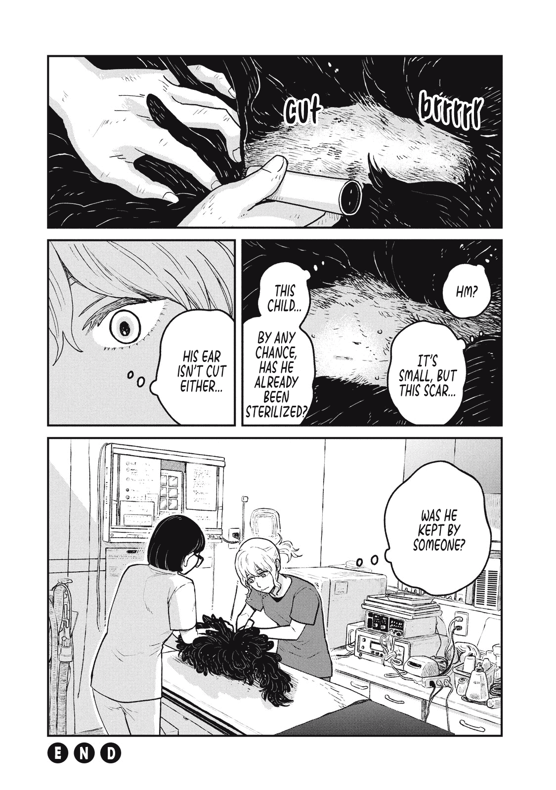 Cat Partners: Maruru and Hachi Chapter 24 page 13 - Chapter 24: Daily Accumulation