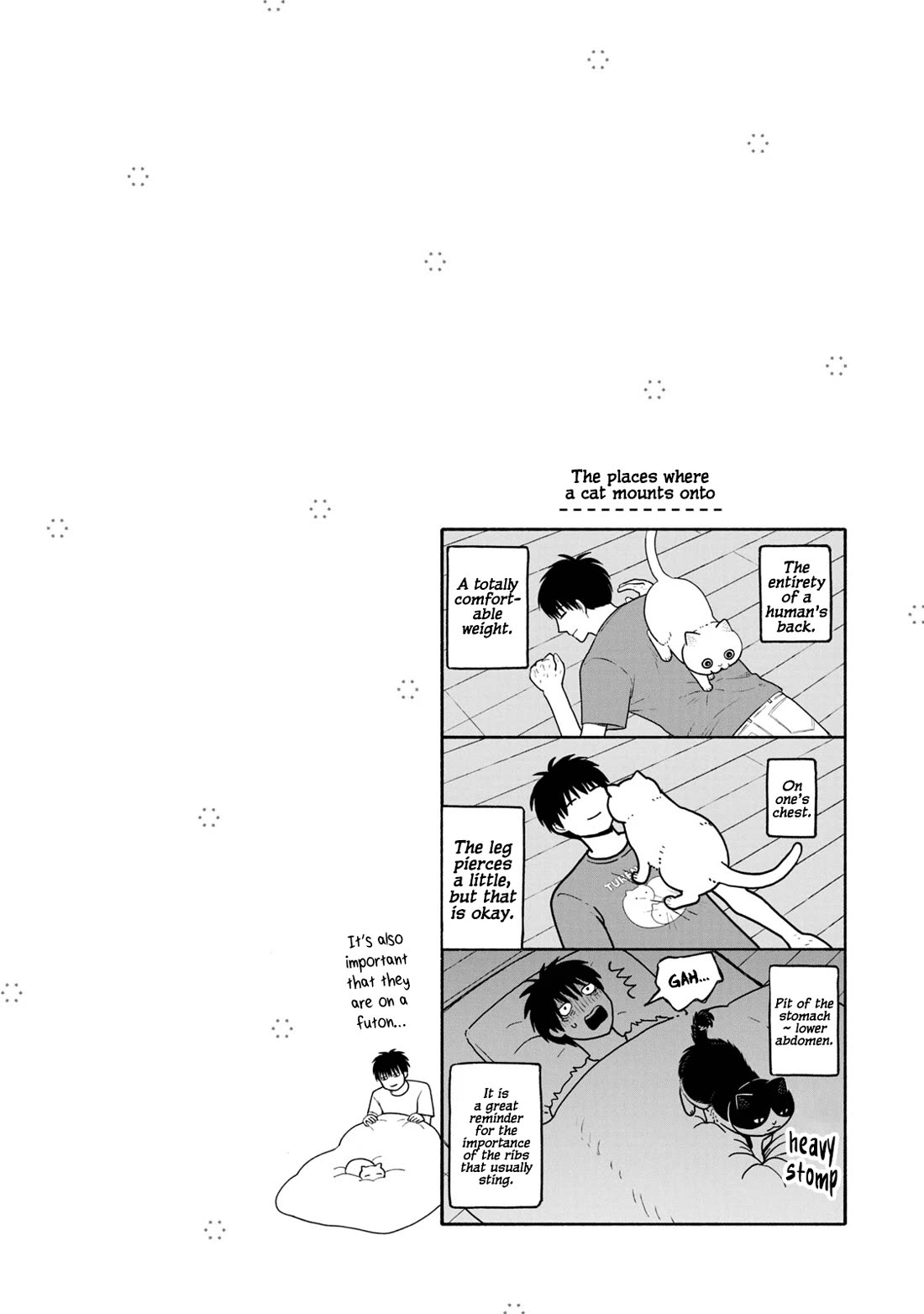 Cat Partners: Maruru and Hachi Chapter 24 page 14 - Chapter 24: Daily Accumulation