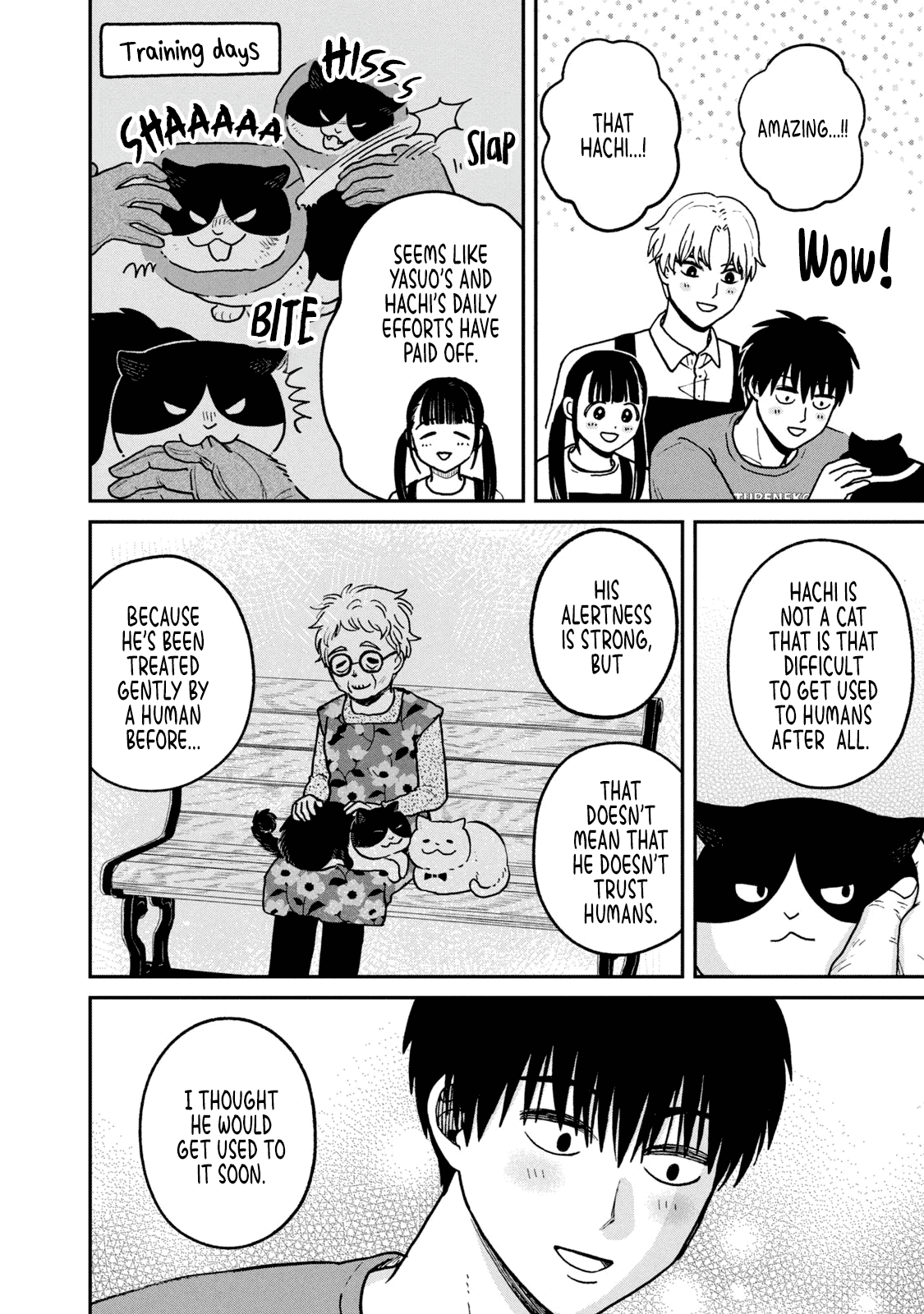 Cat Partners: Maruru and Hachi Chapter 24 page 2 - Chapter 24: Daily Accumulation