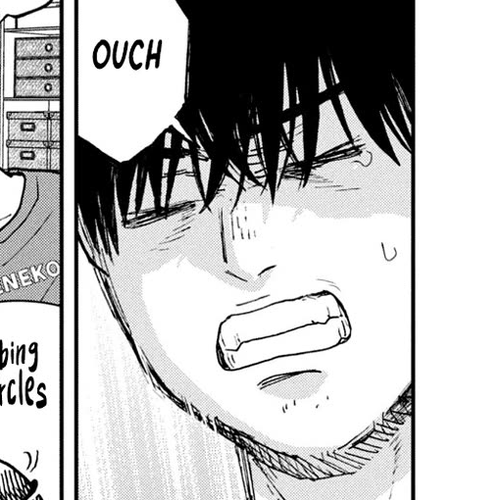 Cat Partners: Maruru and Hachi Chapter 24: Daily Accumulation cover