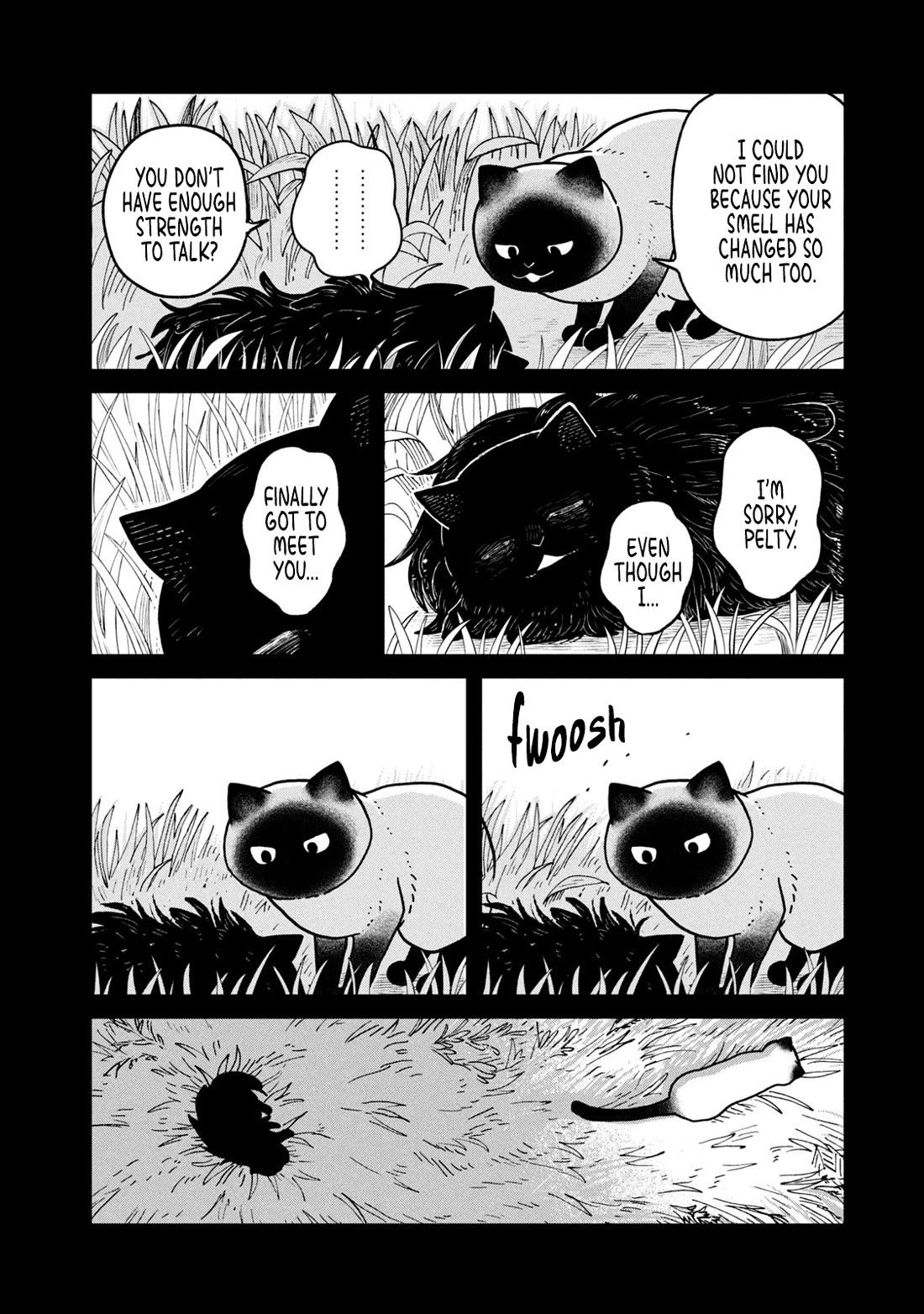 Cat Partners: Maruru and Hachi Chapter 25 page 10 - Chapter 25: At Home in a Dream