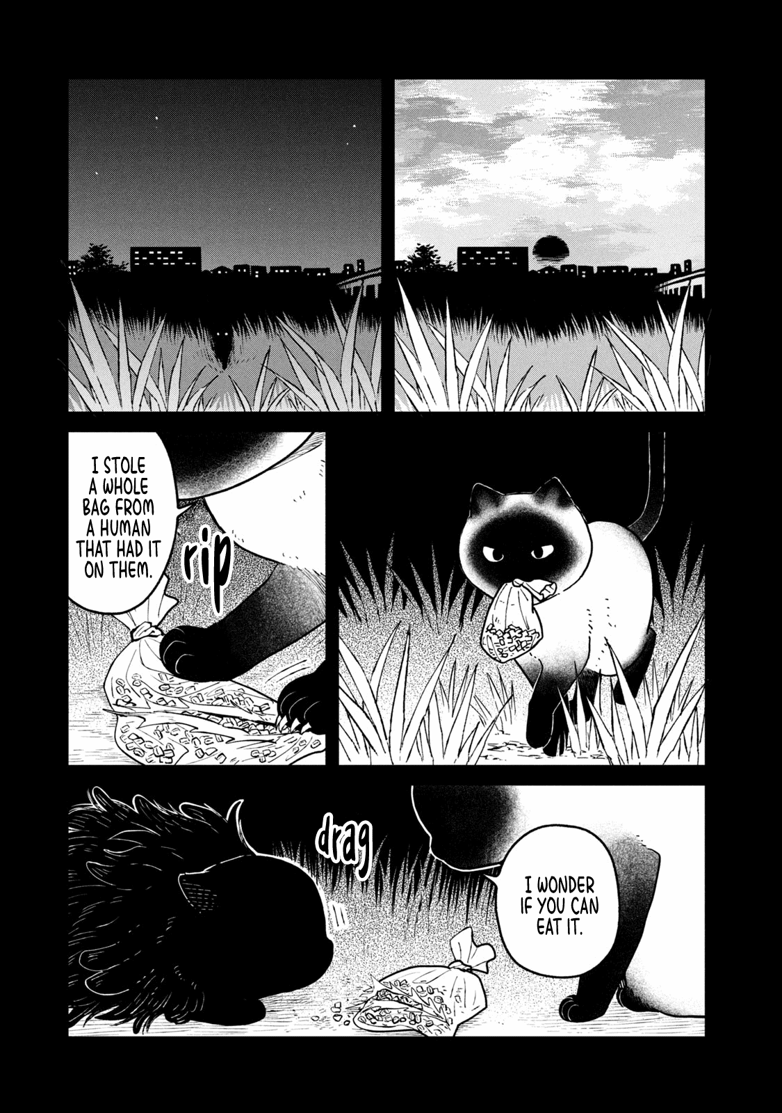 Cat Partners: Maruru and Hachi Chapter 25 page 11 - Chapter 25: At Home in a Dream
