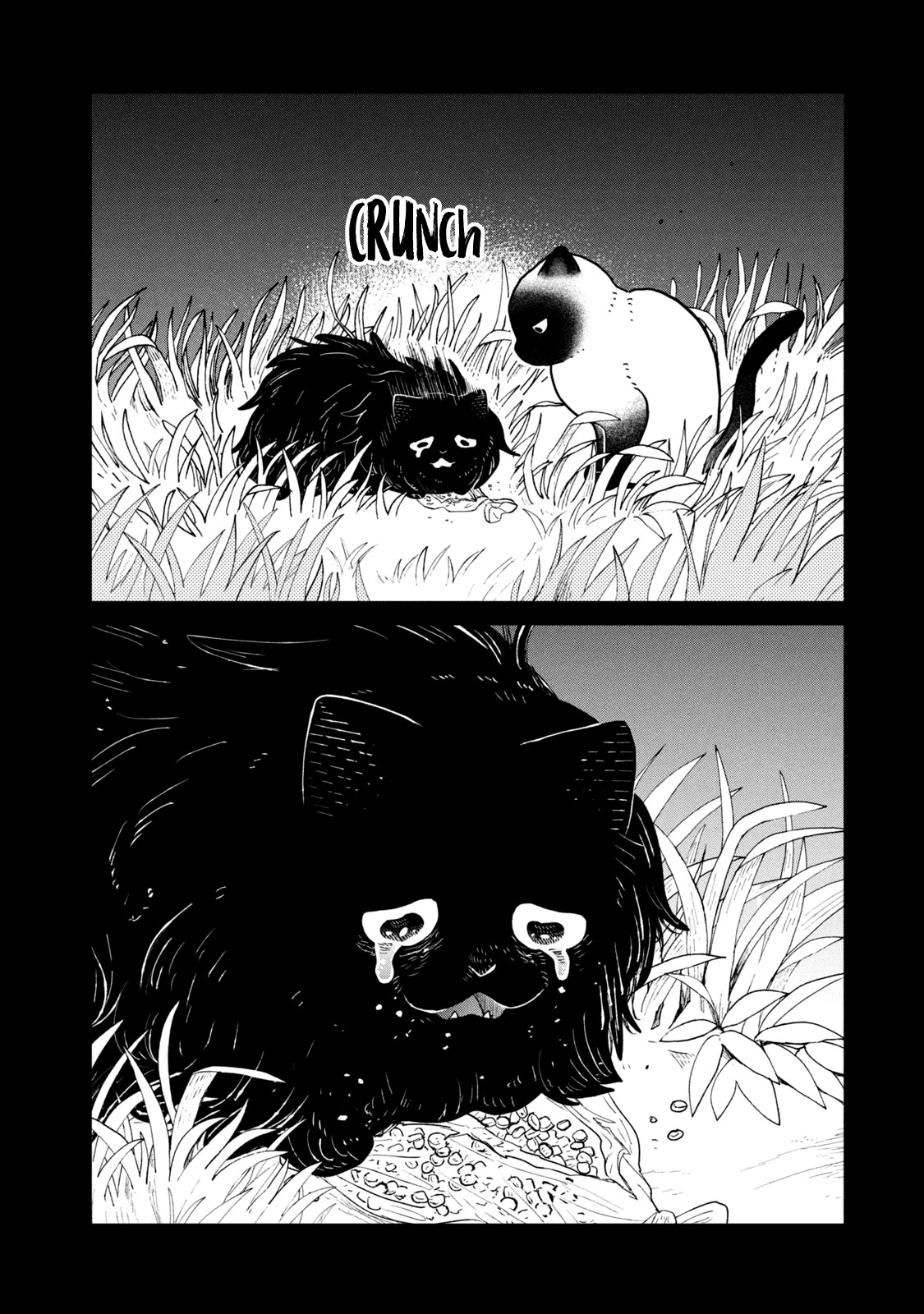 Cat Partners: Maruru and Hachi Chapter 25 page 12 - Chapter 25: At Home in a Dream