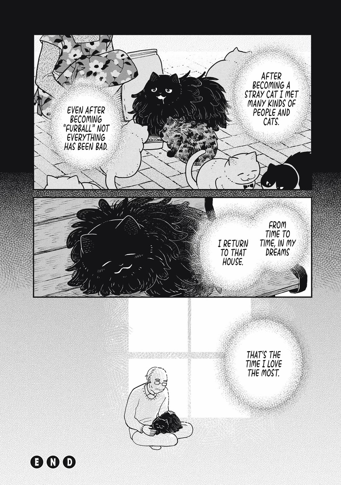 Cat Partners: Maruru and Hachi Chapter 25 page 14 - Chapter 25: At Home in a Dream