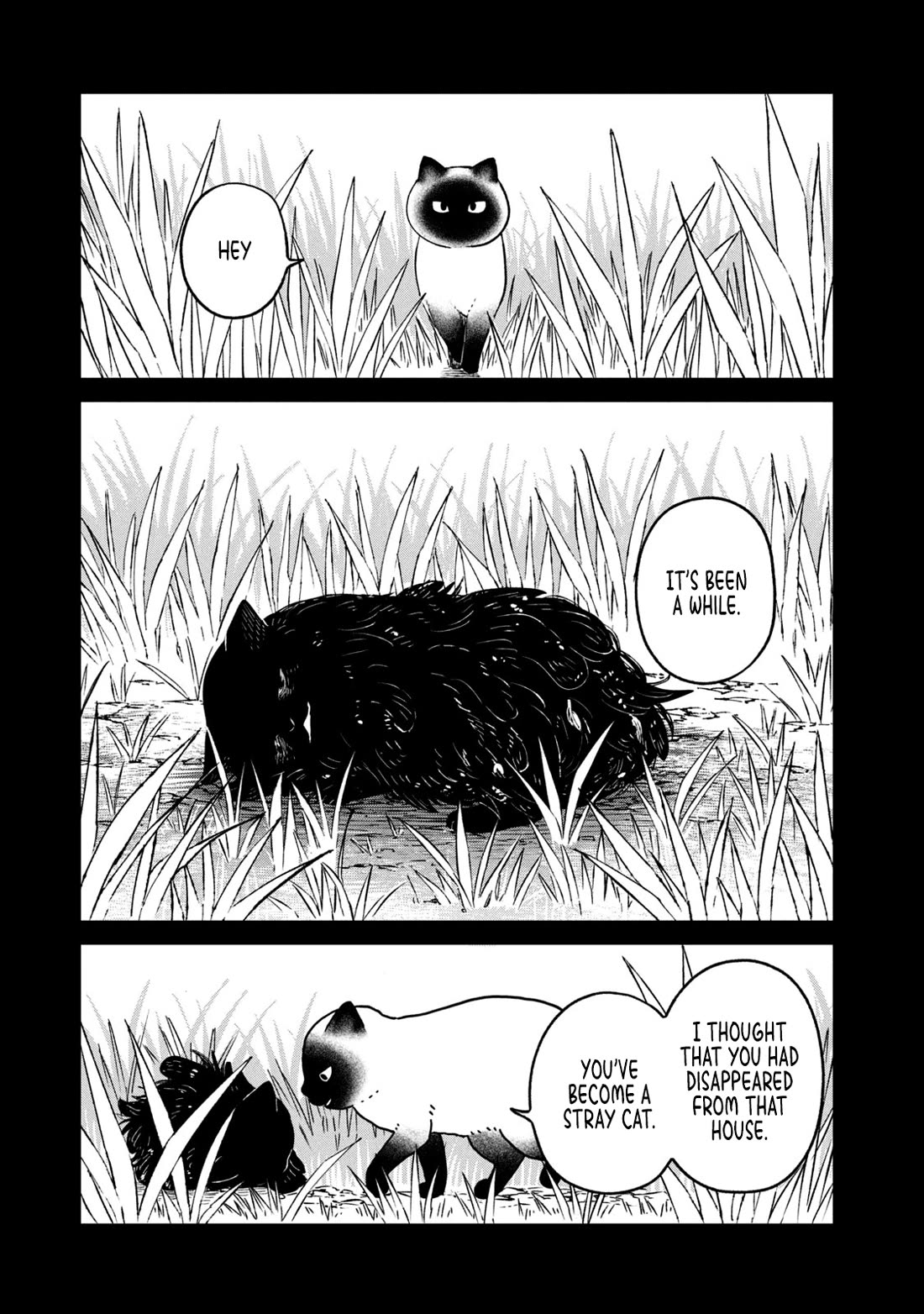 Cat Partners: Maruru and Hachi Chapter 25 page 9 - Chapter 25: At Home in a Dream