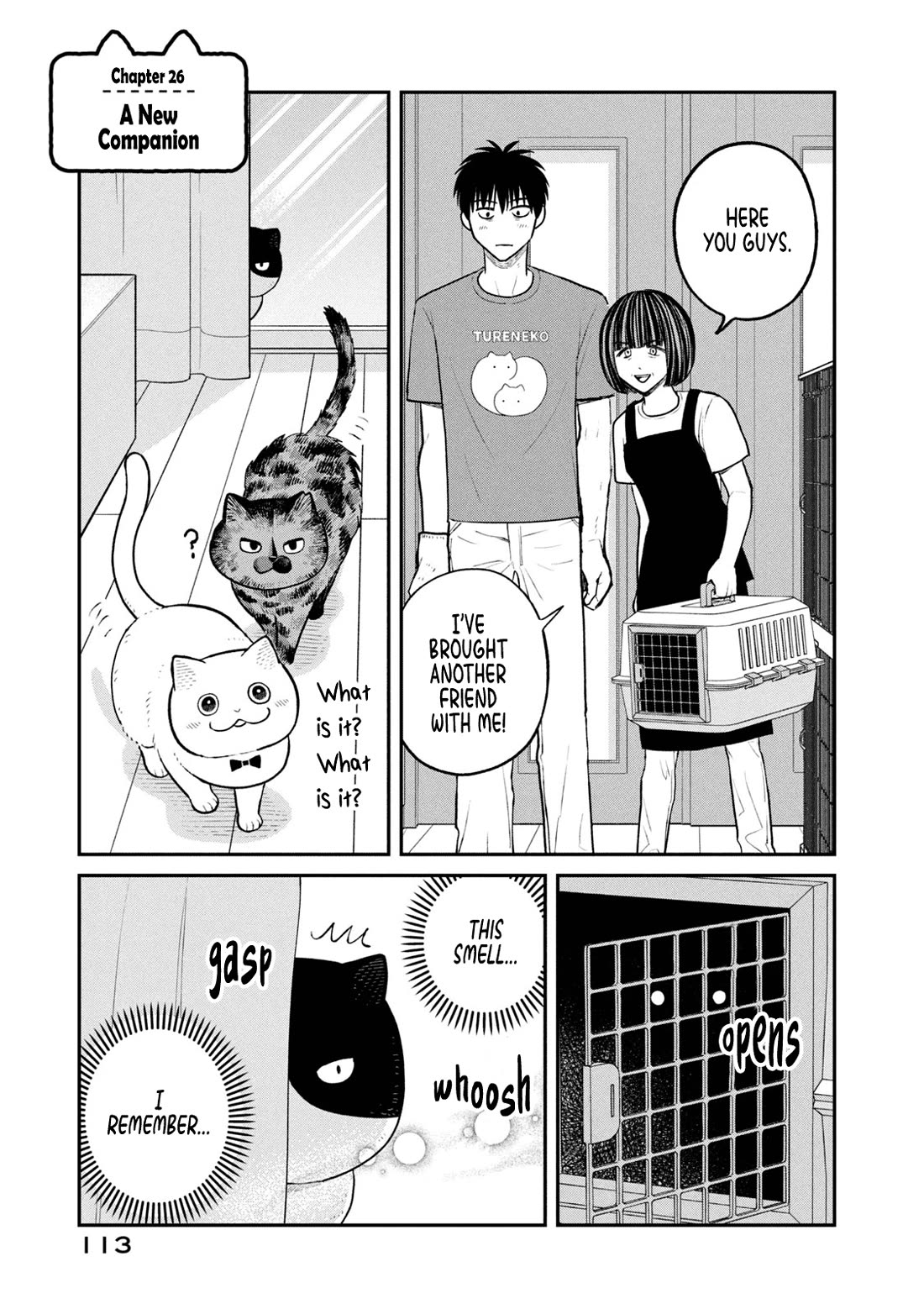 Cat Partners: Maruru and Hachi Chapter 26 page 1 - Chapter 26: A New Companion
