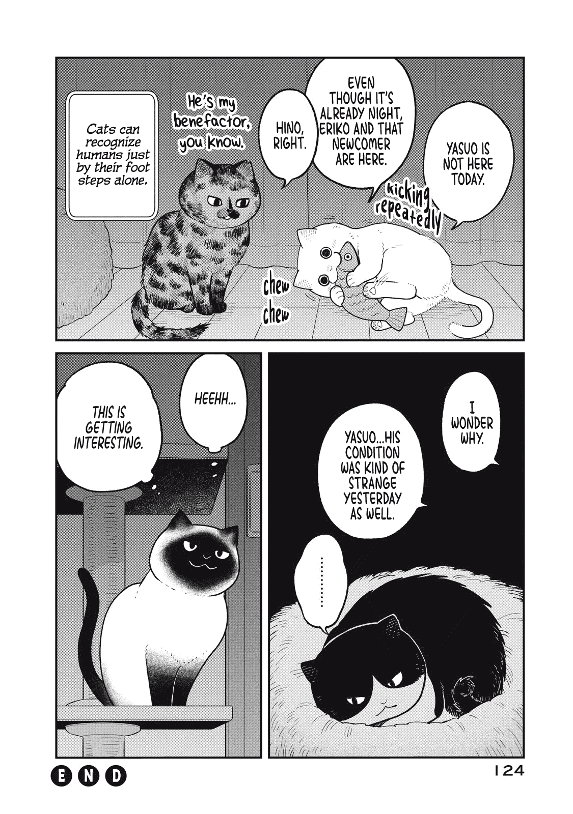 Cat Partners: Maruru and Hachi Chapter 26 page 12 - Chapter 26: A New Companion