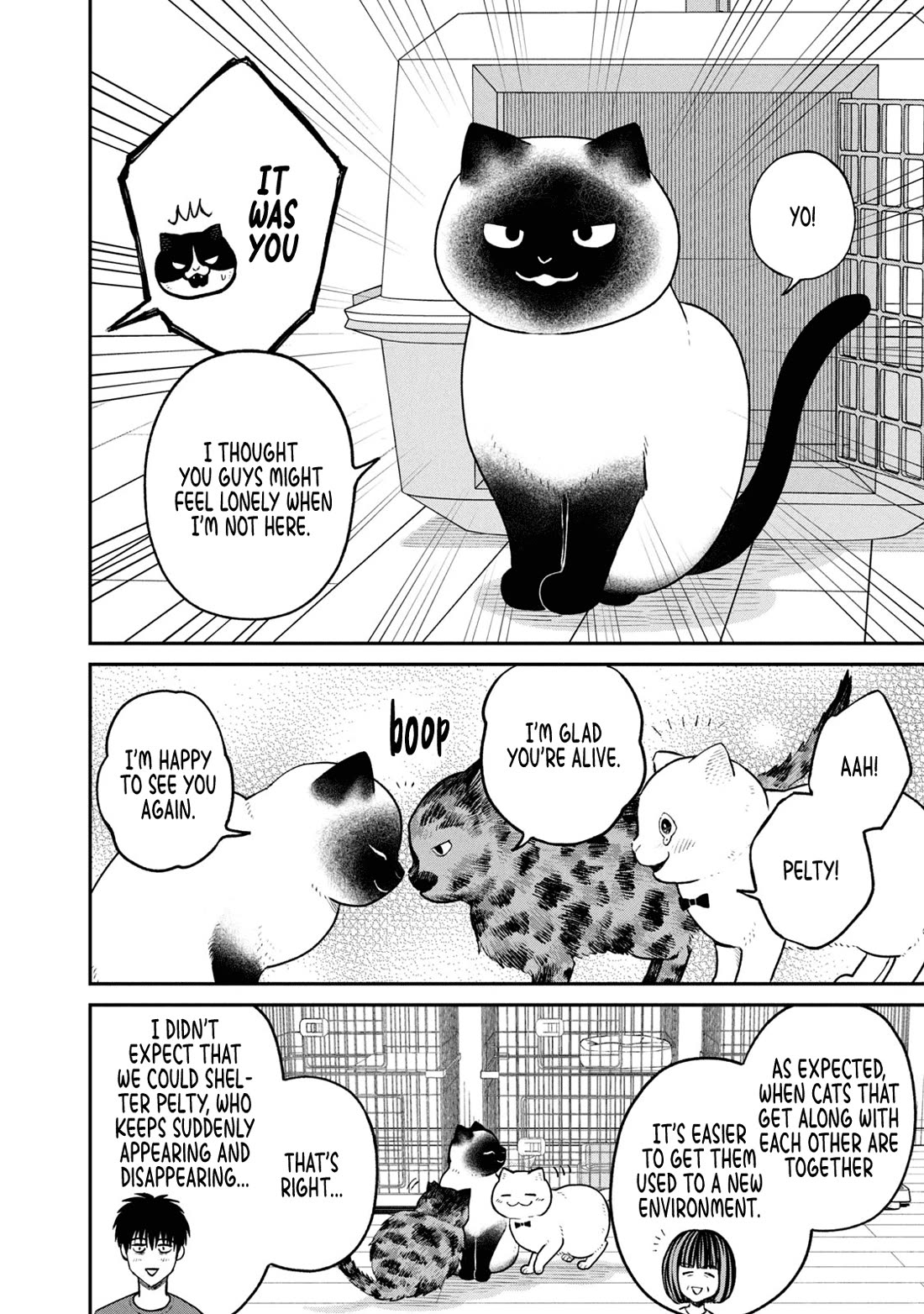 Cat Partners: Maruru and Hachi Chapter 26 page 2 - Chapter 26: A New Companion
