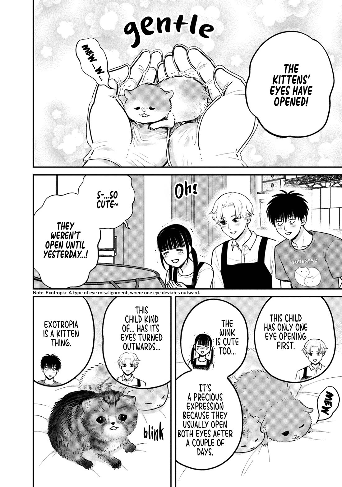 Cat Partners: Maruru and Hachi Chapter 26 page 4 - Chapter 26: A New Companion