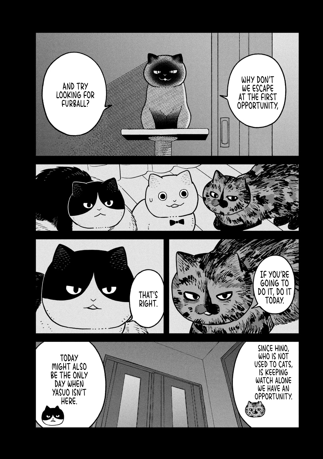 Cat Partners: Maruru and Hachi Chapter 27 page 10 - Chapter 27: Night of the Determined Execution