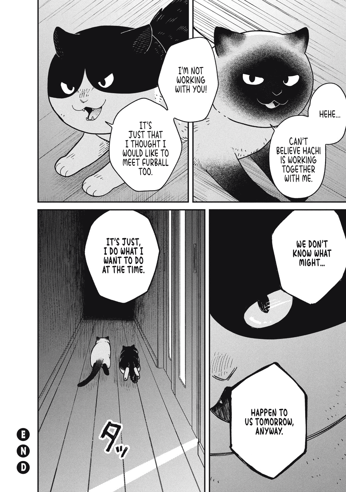 Cat Partners: Maruru and Hachi Chapter 27 page 12 - Chapter 27: Night of the Determined Execution