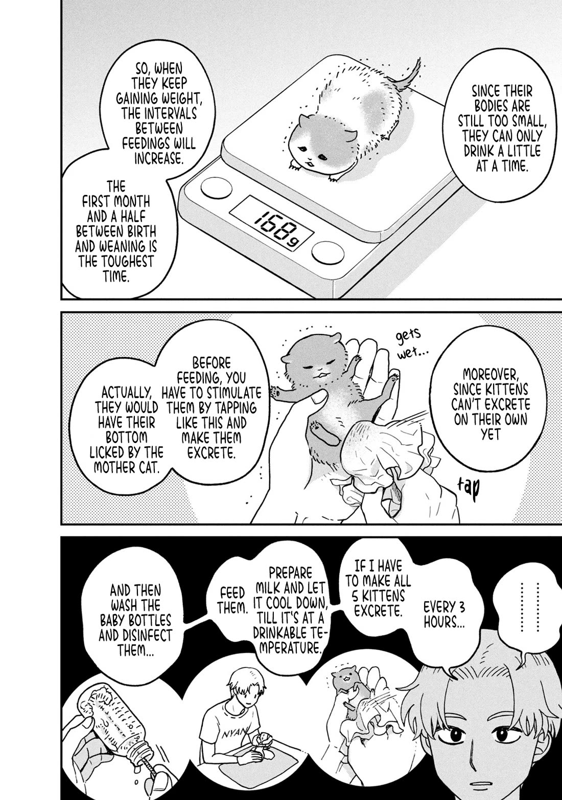 Cat Partners: Maruru and Hachi Chapter 27 page 2 - Chapter 27: Night of the Determined Execution