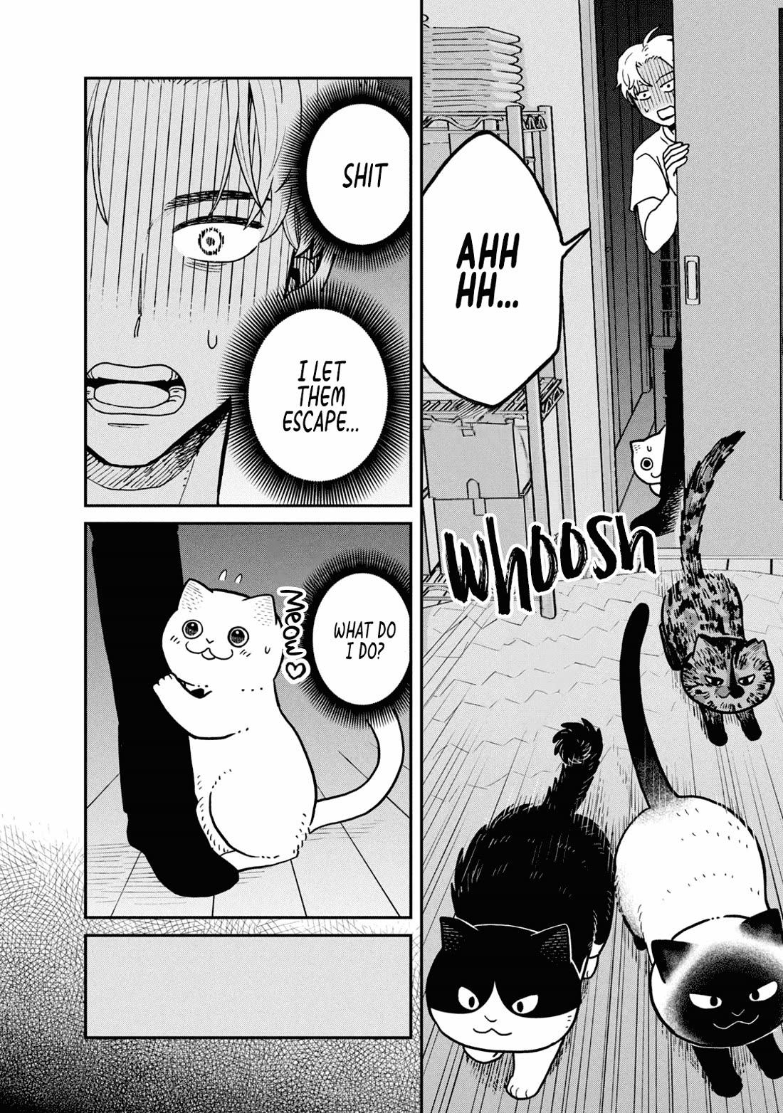 Cat Partners: Maruru and Hachi Chapter 27 page 8 - Chapter 27: Night of the Determined Execution