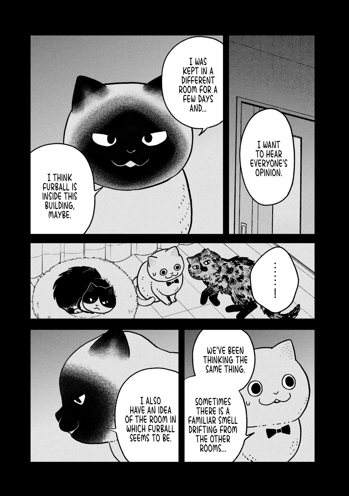 Cat Partners: Maruru and Hachi Chapter 27 page 9 - Chapter 27: Night of the Determined Execution
