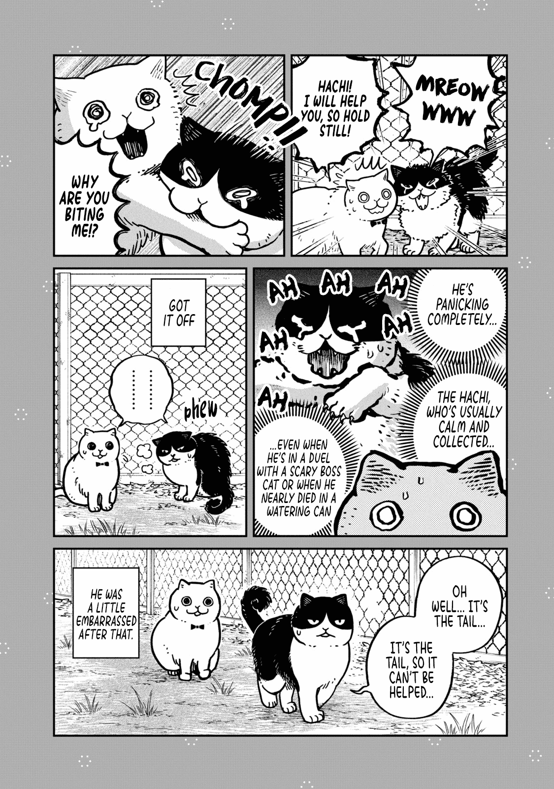 Cat Partners: Maruru and Hachi Chapter 28.1 page 3 - Chapter 28.1: Volume 3 bonus chapters and extra pages