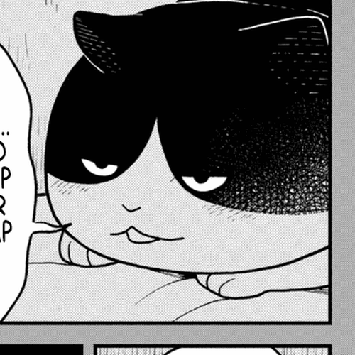 Cat Partners: Maruru and Hachi Chapter 28.1: Volume 3 bonus chapters and extra pages cover