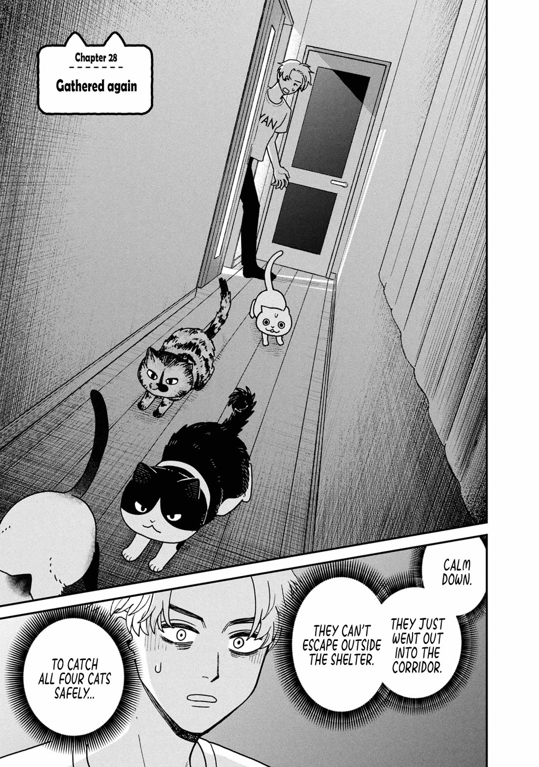 Cat Partners: Maruru and Hachi Chapter 28 page 1 - Chapter 28: Gathered Again