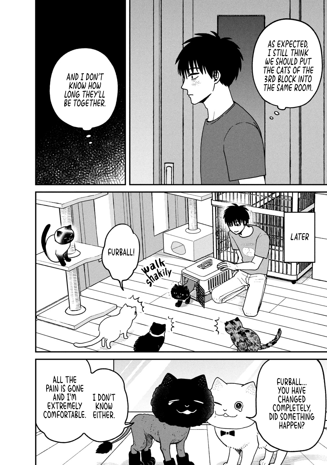 Cat Partners: Maruru and Hachi Chapter 28 page 10 - Chapter 28: Gathered Again