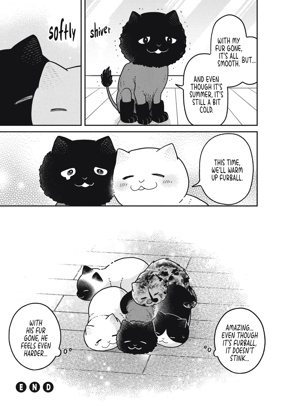 Cat Partners: Maruru and Hachi Chapter 28 page 11 - Chapter 28: Gathered Again