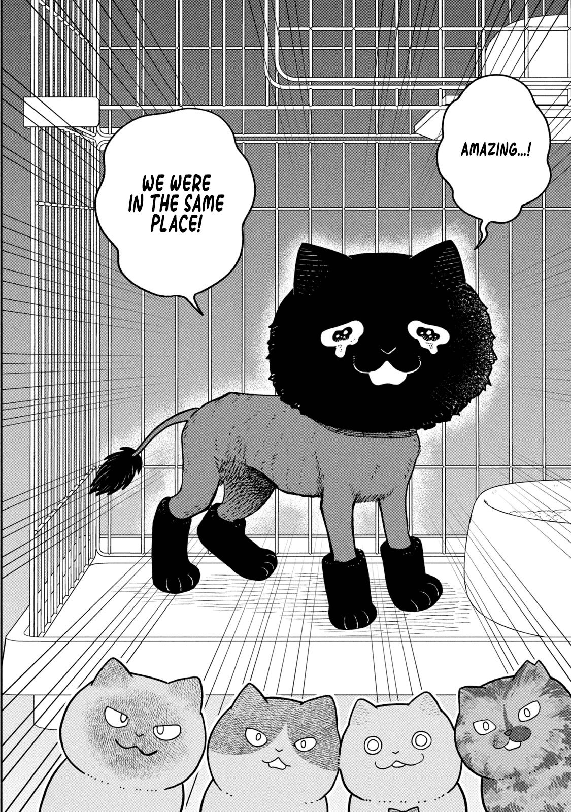 Cat Partners: Maruru and Hachi Chapter 28 page 4 - Chapter 28: Gathered Again