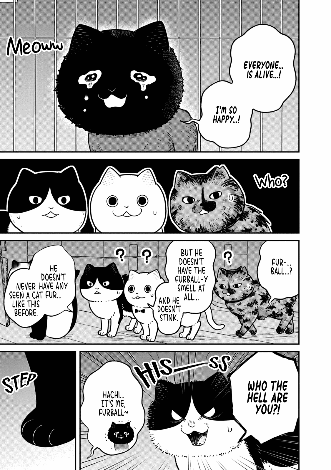 Cat Partners: Maruru and Hachi Chapter 28 page 5 - Chapter 28: Gathered Again