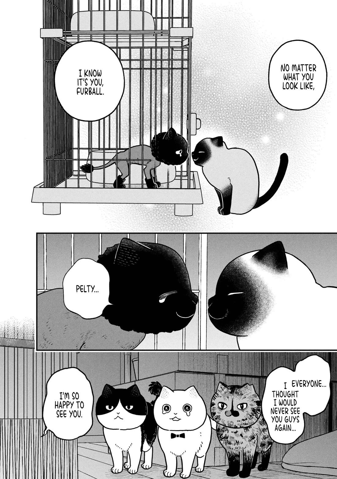Cat Partners: Maruru and Hachi Chapter 28 page 6 - Chapter 28: Gathered Again