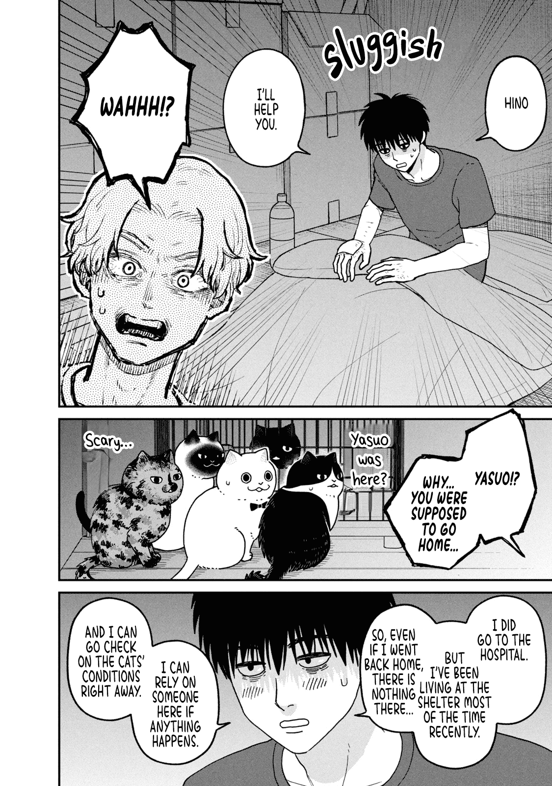 Cat Partners: Maruru and Hachi Chapter 28 page 8 - Chapter 28: Gathered Again