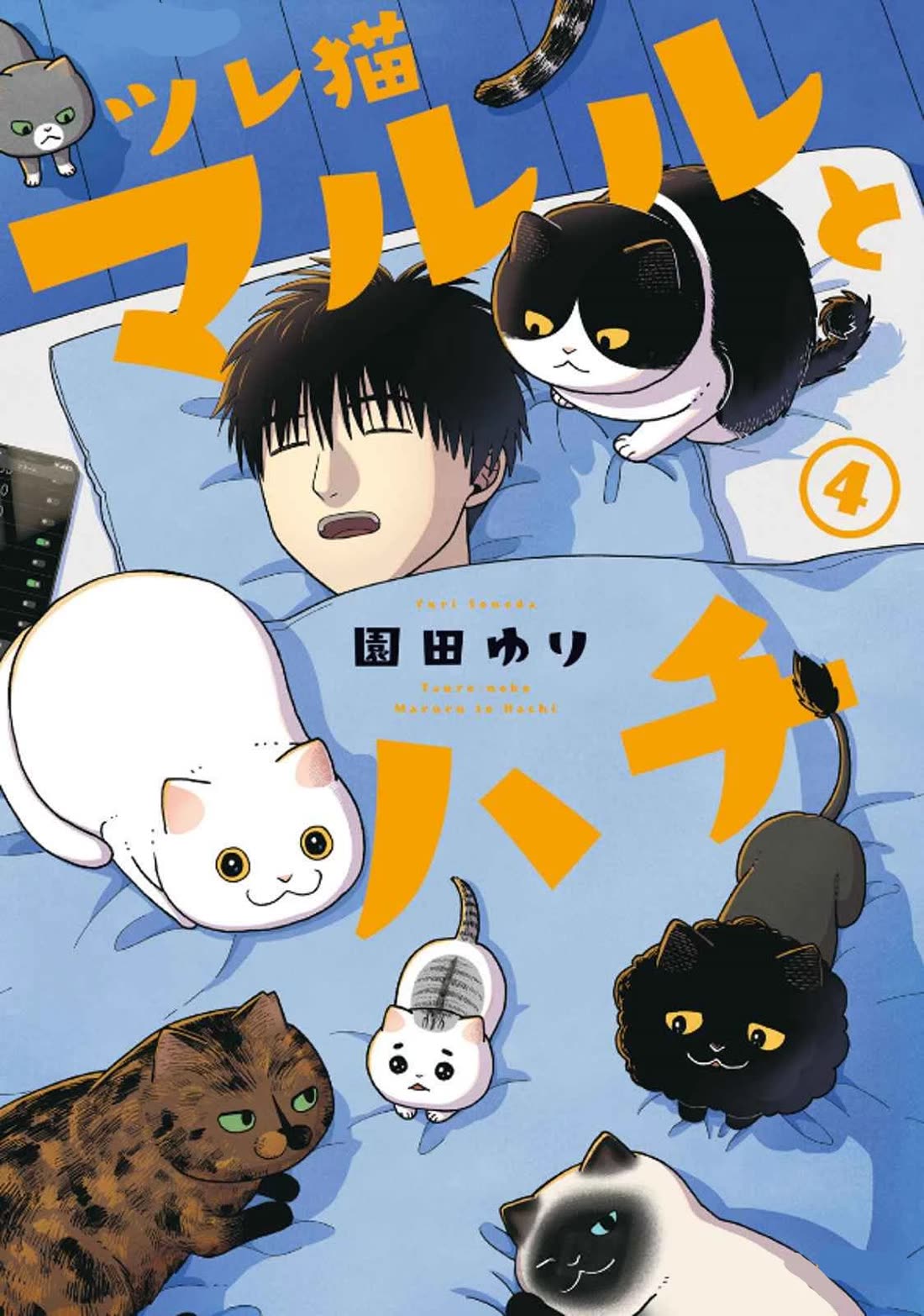 Cat Partners: Maruru and Hachi Chapter 29 page 1 - Chapter 29: Moving Greetings