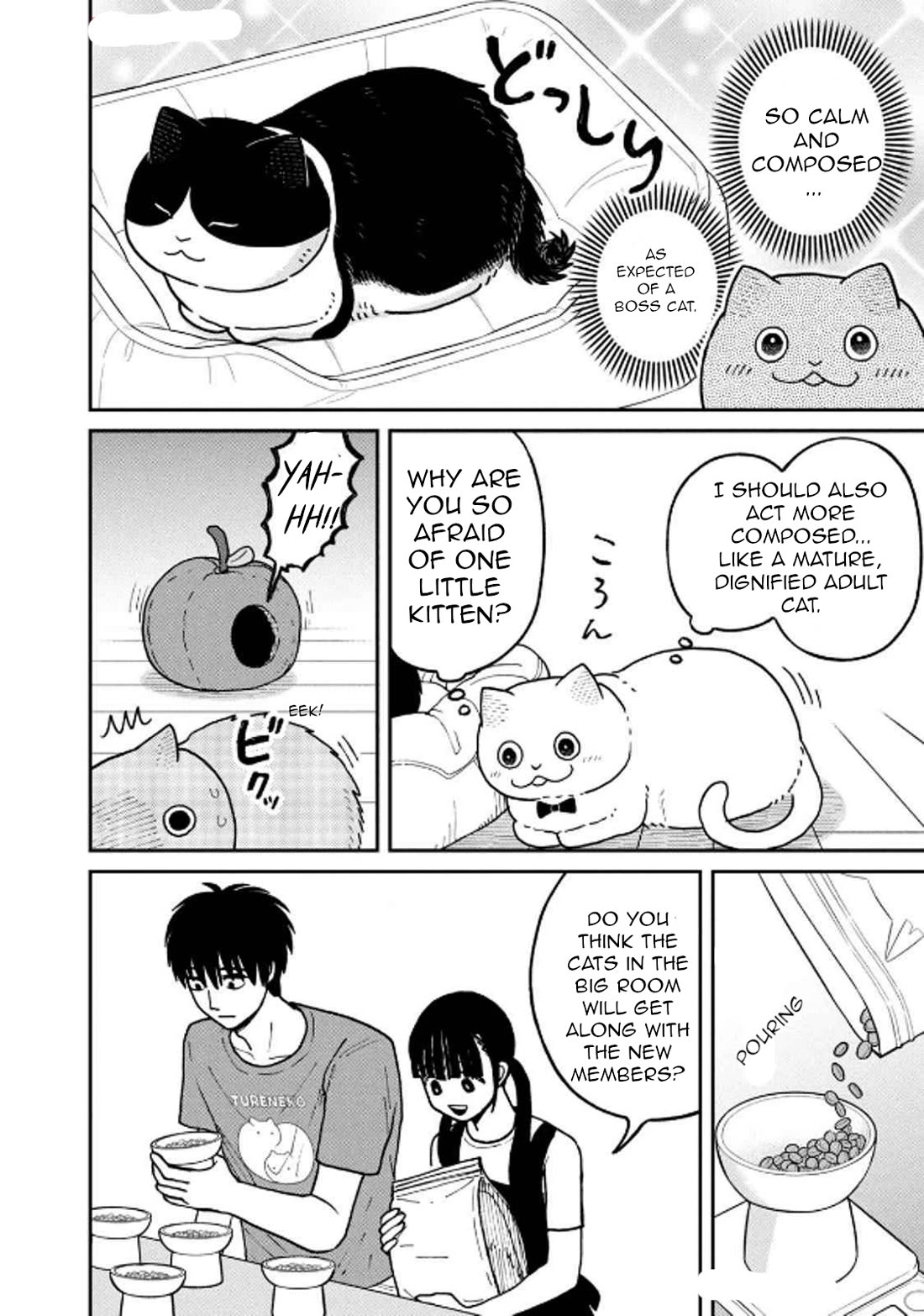 Cat Partners: Maruru and Hachi Chapter 29 page 10 - Chapter 29: Moving Greetings