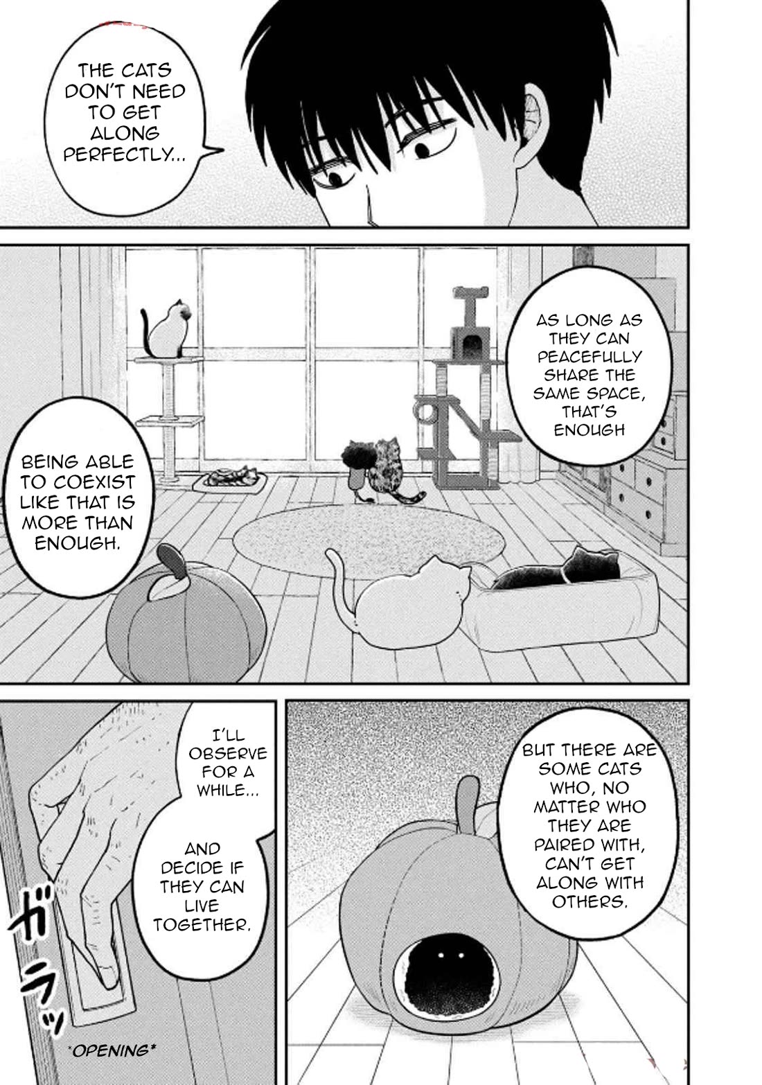 Cat Partners: Maruru and Hachi Chapter 29 page 11 - Chapter 29: Moving Greetings