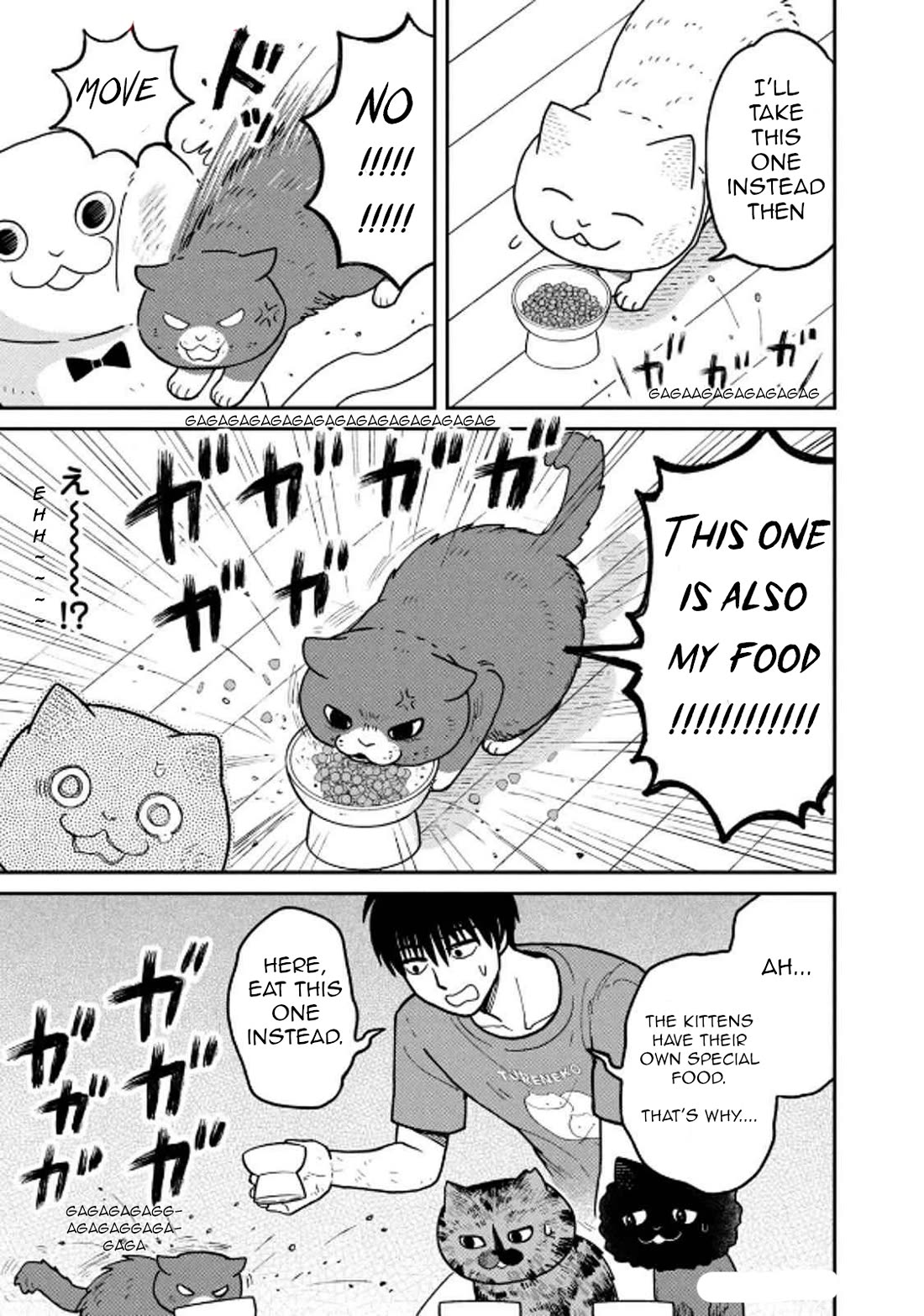 Cat Partners: Maruru and Hachi Chapter 29 page 13 - Chapter 29: Moving Greetings
