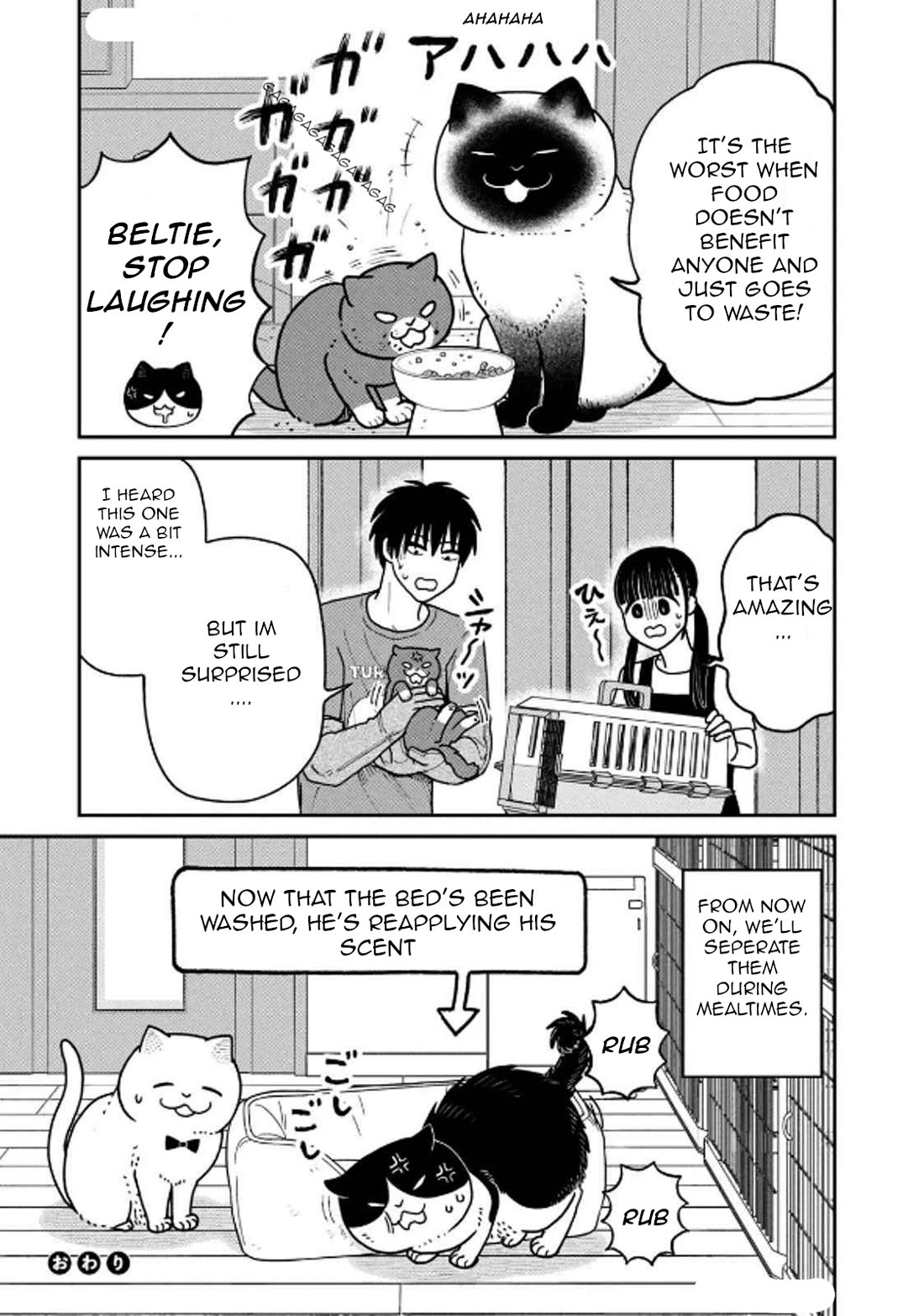 Cat Partners: Maruru and Hachi Chapter 29 page 17 - Chapter 29: Moving Greetings