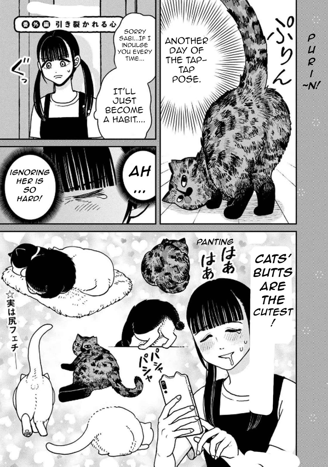 Cat Partners: Maruru and Hachi Chapter 29 page 19 - Chapter 29: Moving Greetings