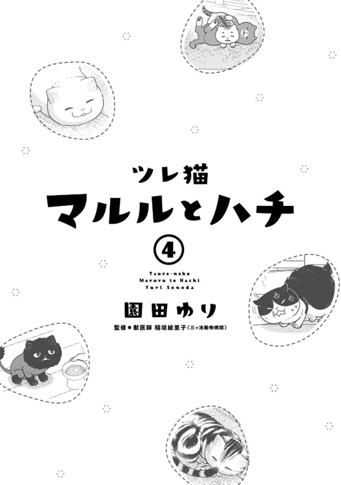 Cat Partners: Maruru and Hachi Chapter 29 page 3 - Chapter 29: Moving Greetings
