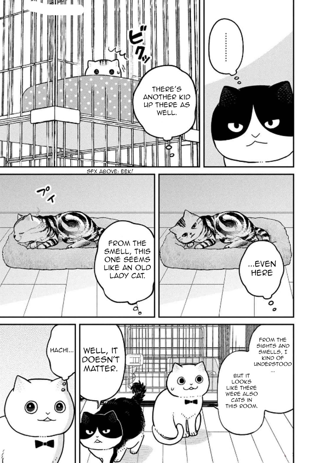 Cat Partners: Maruru and Hachi Chapter 29 page 9 - Chapter 29: Moving Greetings