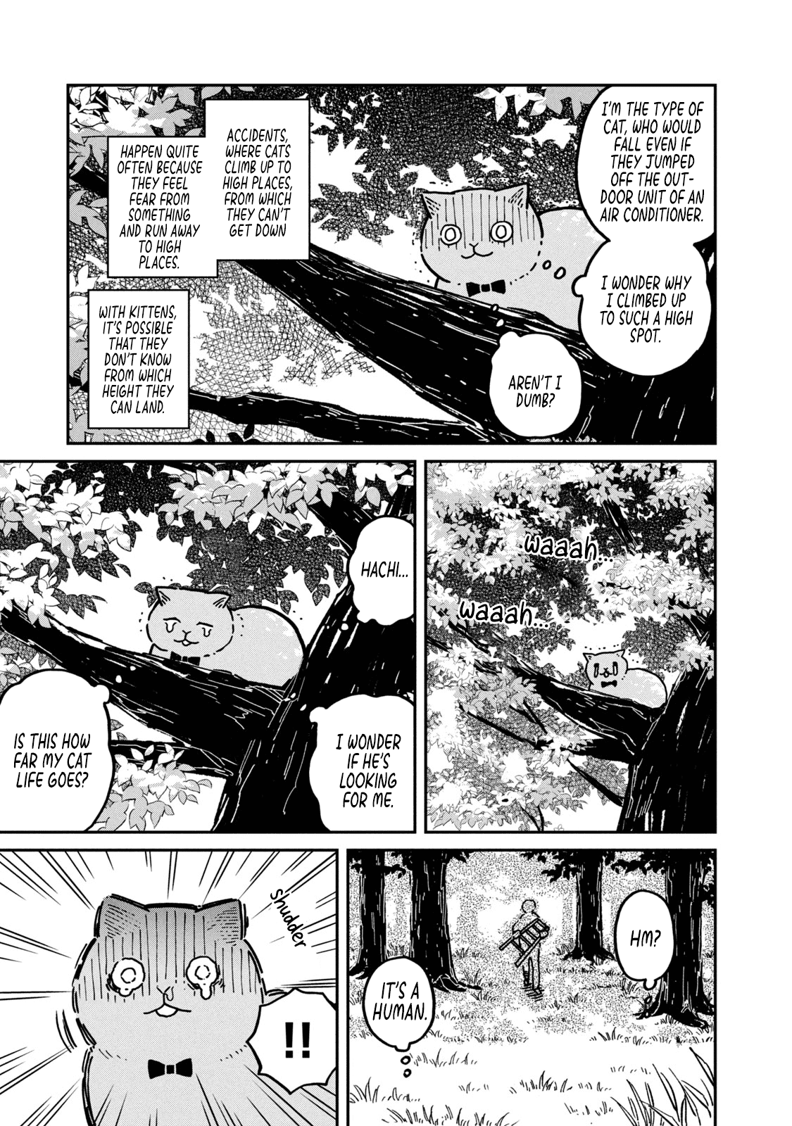 Cat Partners: Maruru and Hachi Chapter 3 page 14 - Chapter 3: Hachi House