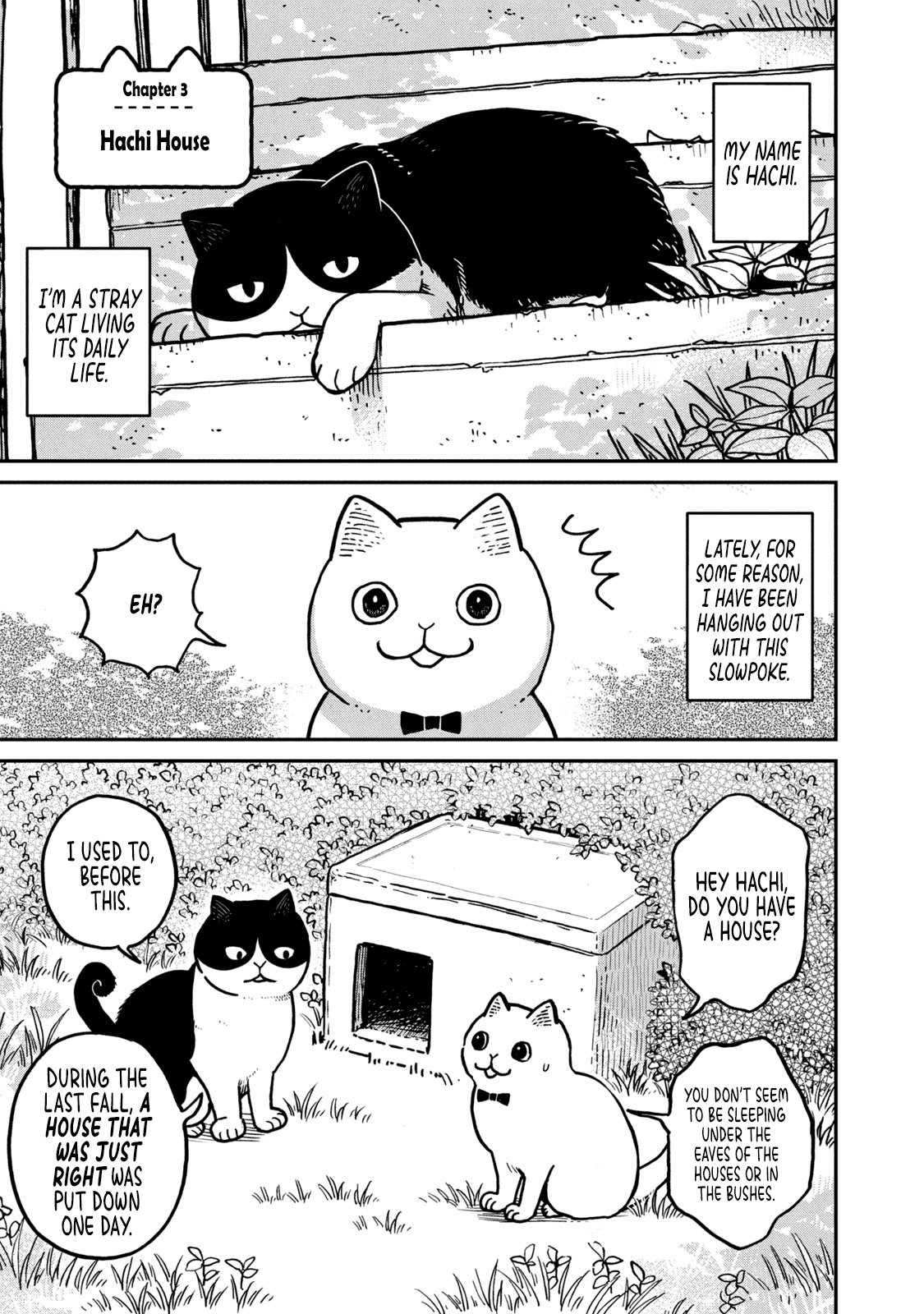 Cat Partners: Maruru and Hachi Chapter 3 page 2 - Chapter 3: Hachi House