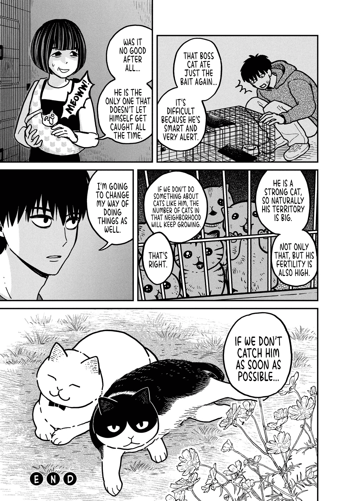 Cat Partners: Maruru and Hachi Chapter 3 page 22 - Chapter 3: Hachi House