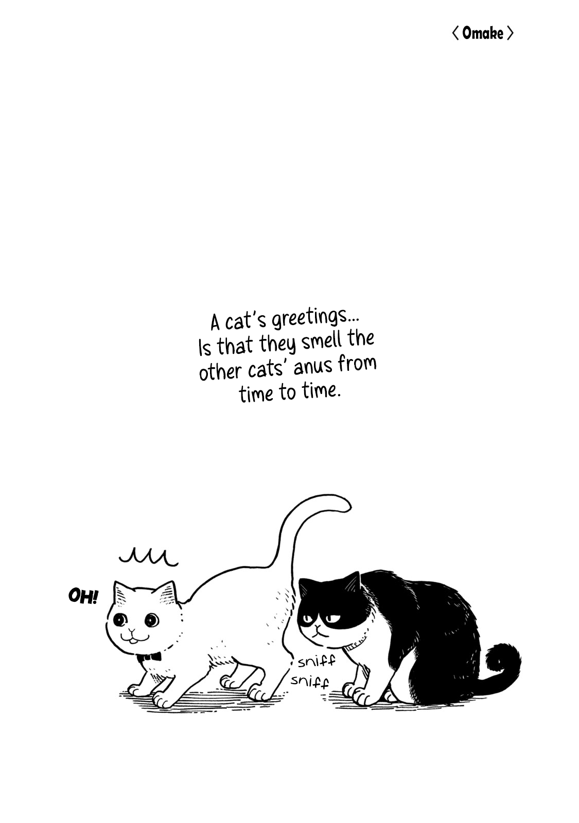 Cat Partners: Maruru and Hachi Chapter 3 page 23 - Chapter 3: Hachi House