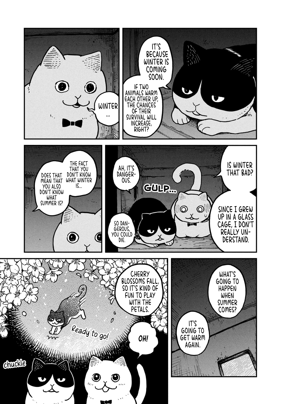 Cat Partners: Maruru and Hachi Chapter 3 page 4 - Chapter 3: Hachi House