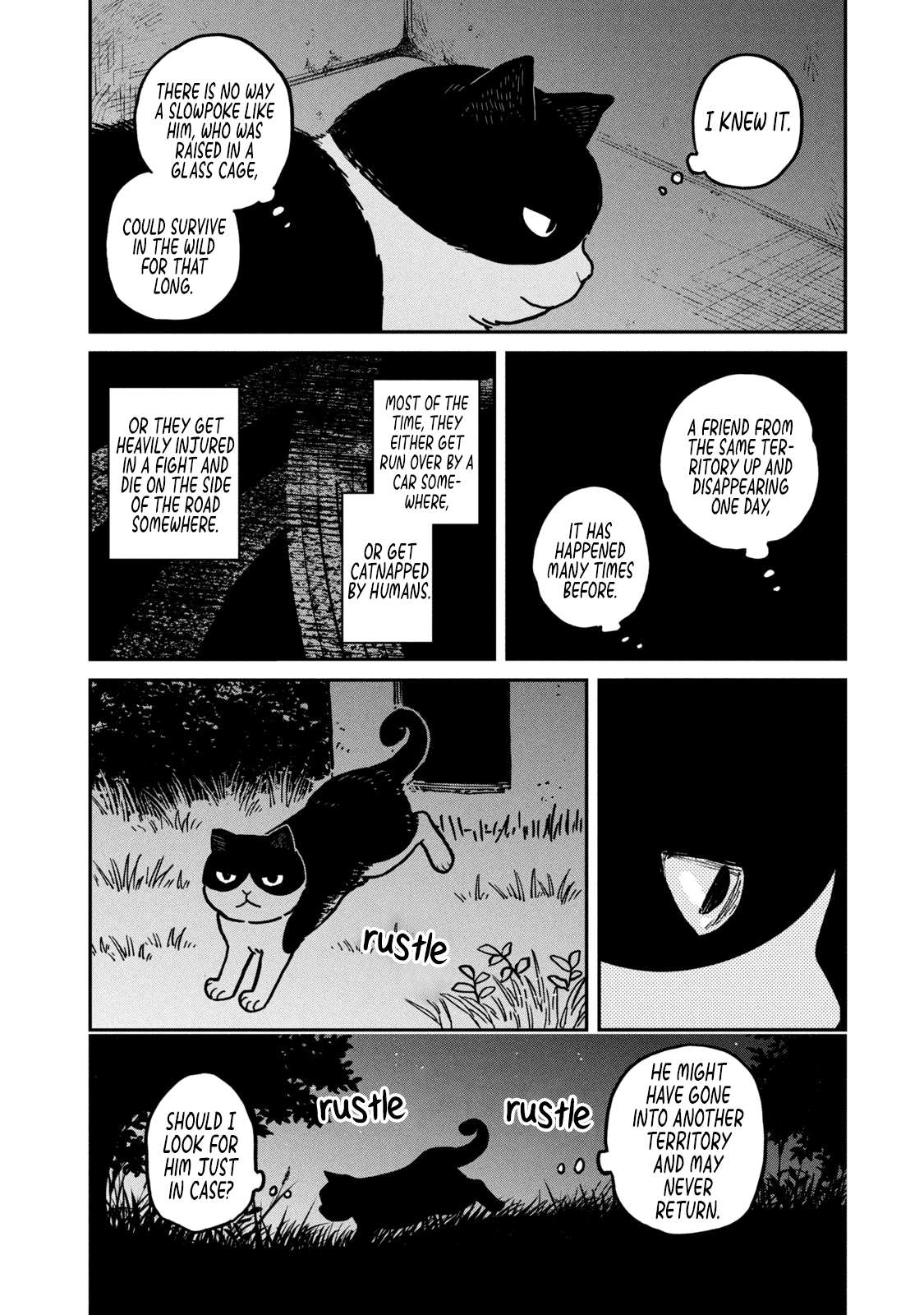 Cat Partners: Maruru and Hachi Chapter 3 page 7 - Chapter 3: Hachi House