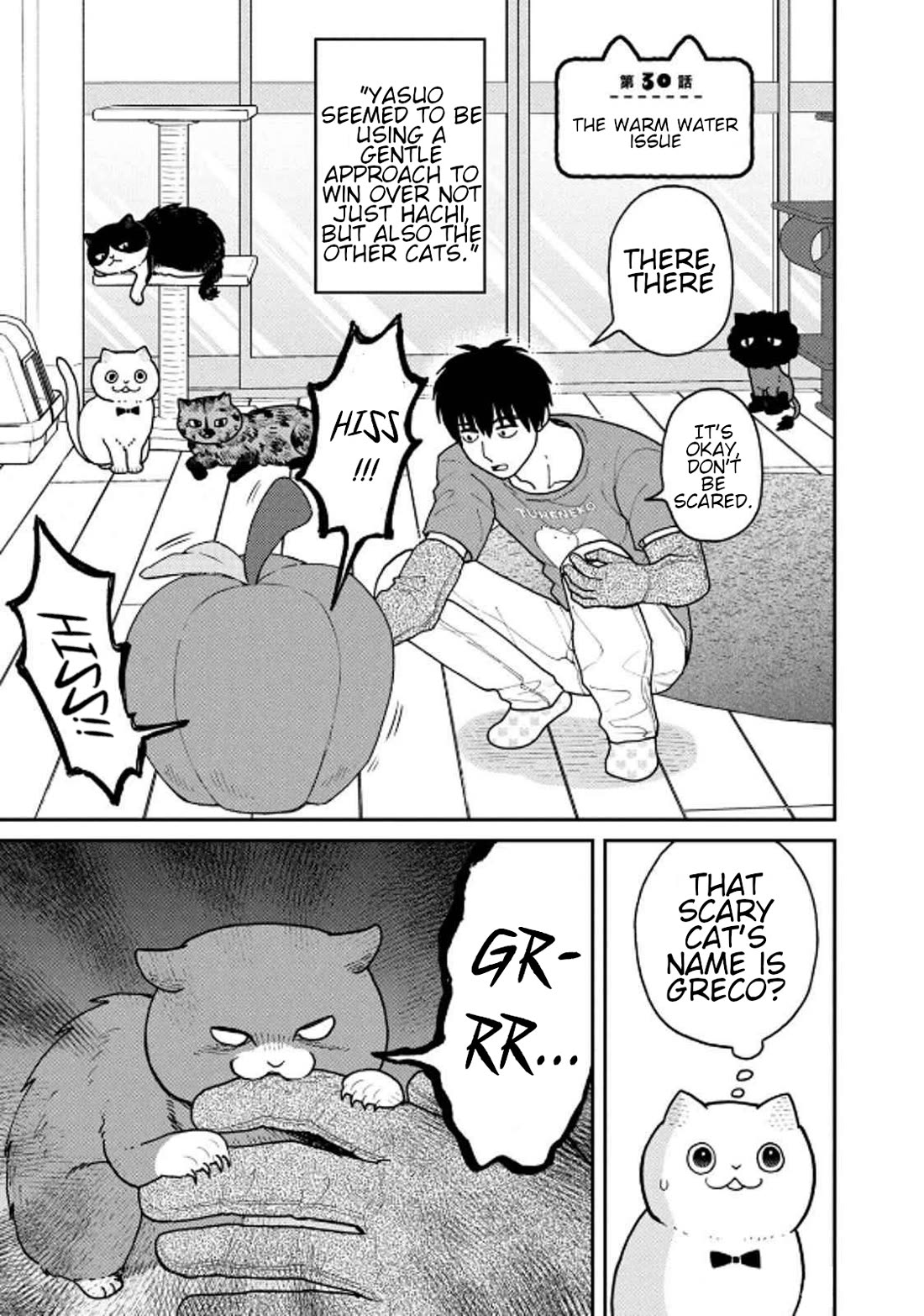 Cat Partners: Maruru and Hachi Chapter 30 page 1 - Chapter 30: The Warm Water Issue