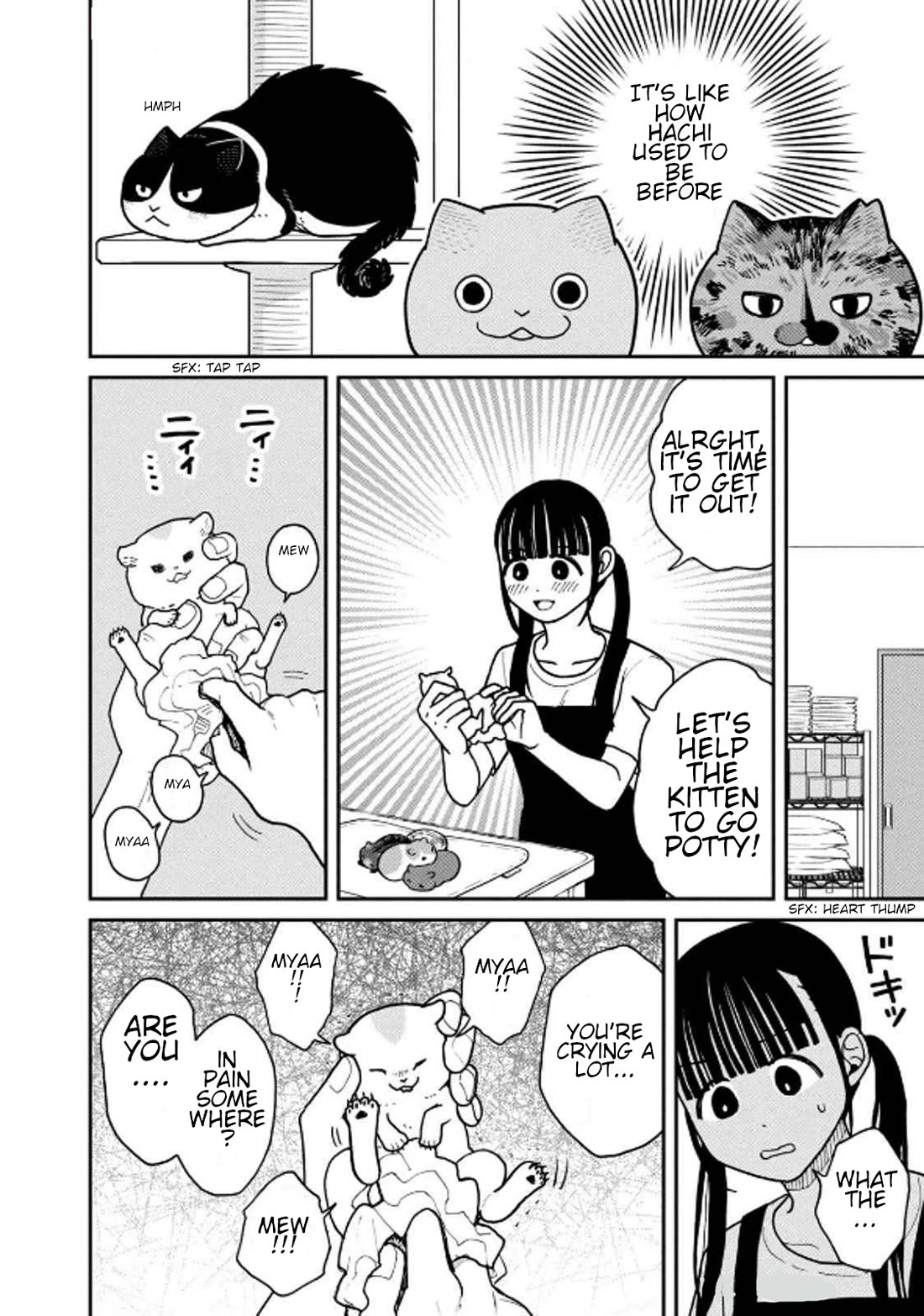 Cat Partners: Maruru and Hachi Chapter 30 page 2 - Chapter 30: The Warm Water Issue