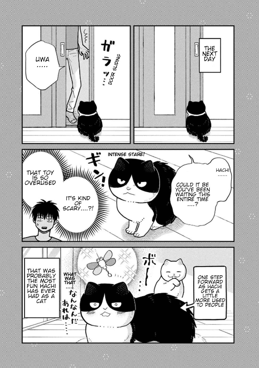 Cat Partners: Maruru and Hachi Chapter 31 page 17 - Chapter 31: Everyone's Struggle