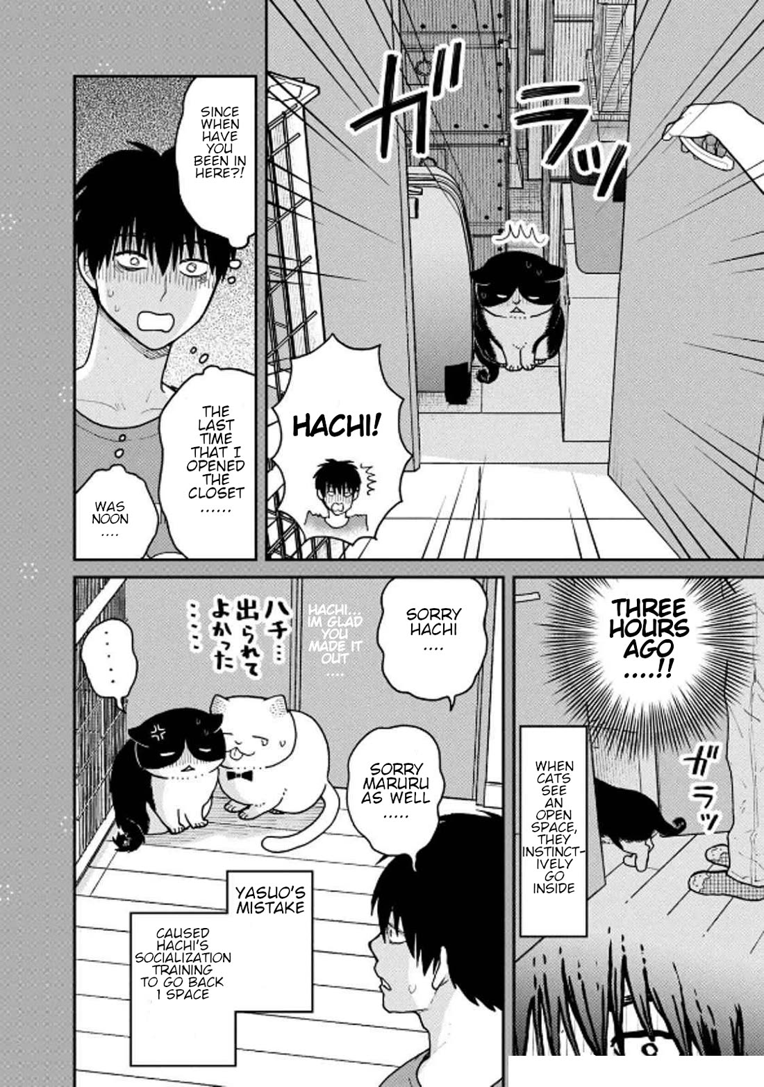 Cat Partners: Maruru and Hachi Chapter 31 page 19 - Chapter 31: Everyone's Struggle