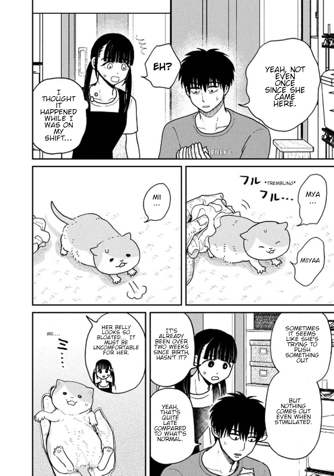 Cat Partners: Maruru and Hachi Chapter 31 page 6 - Chapter 31: Everyone's Struggle