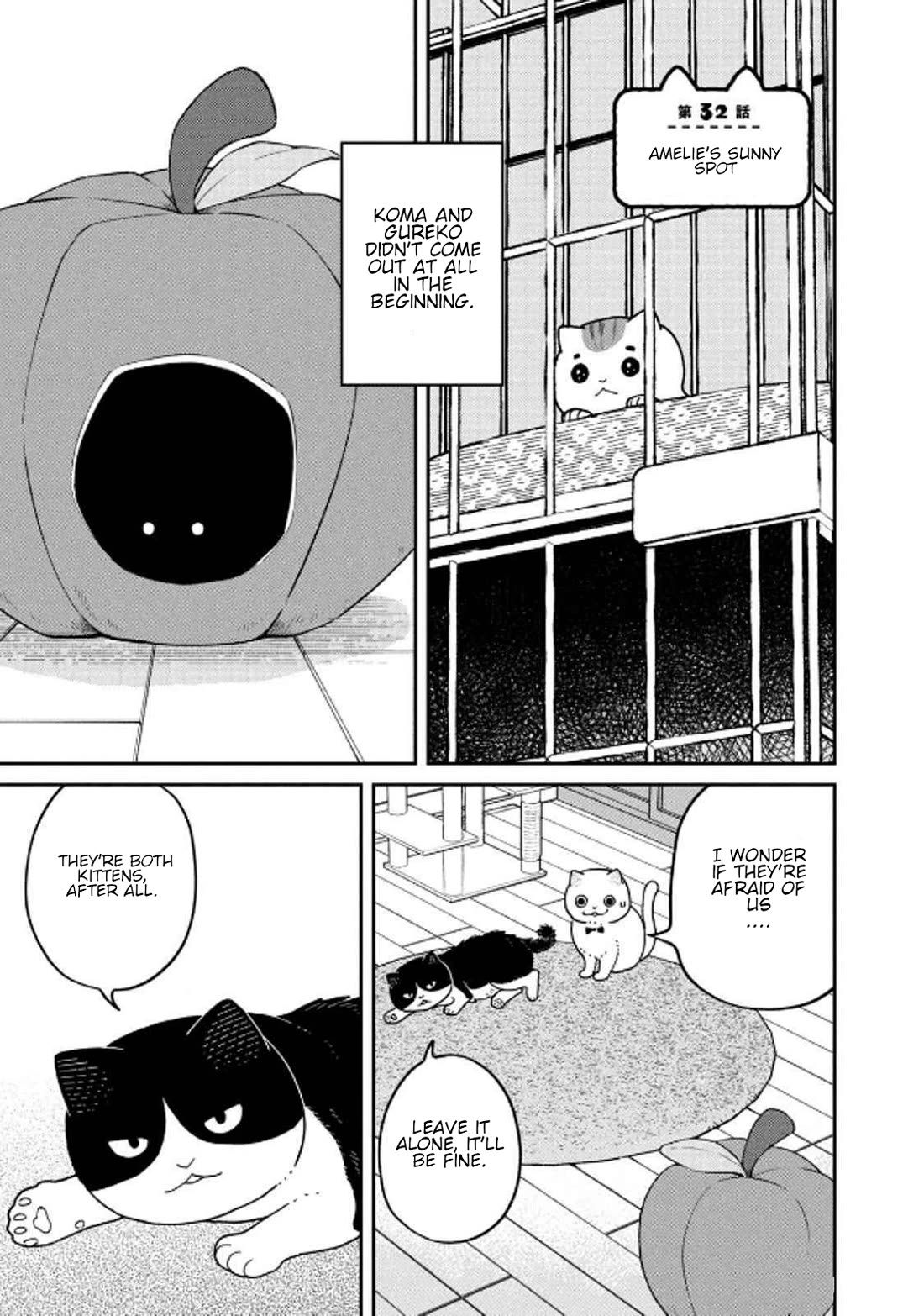 Cat Partners: Maruru and Hachi Chapter 32 page 1 - Chapter 32: Amelie's Sunny Spot