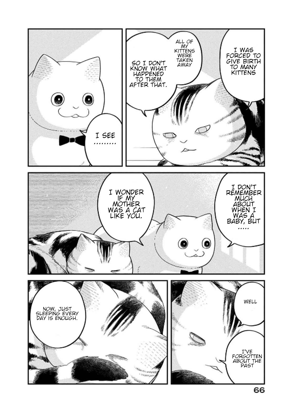 Cat Partners: Maruru and Hachi Chapter 32 page 10 - Chapter 32: Amelie's Sunny Spot
